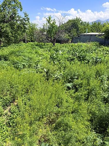 Продажа участков: 7 соток, Для строительства, Красная книга, Договор купли-продажи — 1
