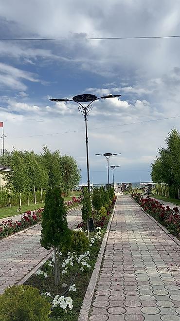 корпоративные: Коттедж, Asia Palace, Сары-Ой, 10 мест — 2