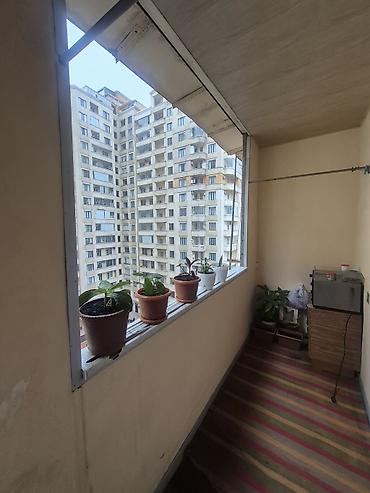 dernegul: Bakı, 7-ci mikrorayon, 3 otaqlı, Köhnə tikili, m. Dərnəgül, 82 kv. m — 10