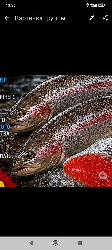 работа дворник: 🐟 ТРЕБУЮТСЯ РАЗНОРАБОЧИЕ В РЫБНОЕ ХОЗЯЙСТВО На постоянную работу — 1