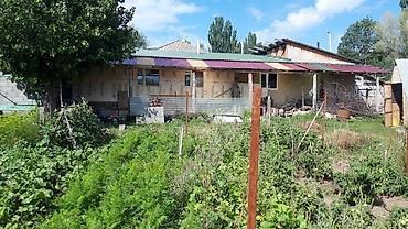 Продажа коттеджей и домов: Продается дом с участком, расположенный в тихой местности. Дом со — 9