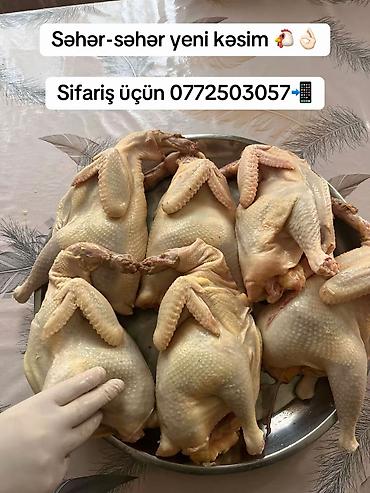 et xengeli: Məhsul: Zeytun yağı (isti sıxım) və təzə kəsim toyuq - Zeytun yağı: 3 — 3
