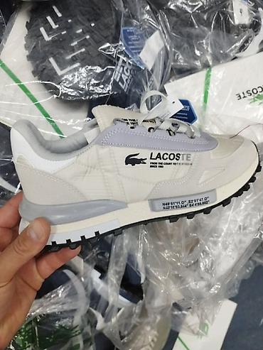 air force pertle: Lacoste patike – lifestyle/sports model

Od 40 do 44br

4.800 din — 5