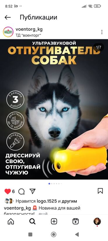 куханный буфет: Ультразвуковой отпугиватель собак с функцией дрессировки -