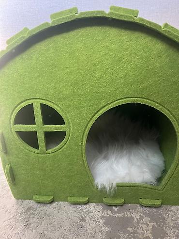 40 45: Домик для кошки 🐱💚 Красивый и уютный домик для вашего питомца. 😻 — 1