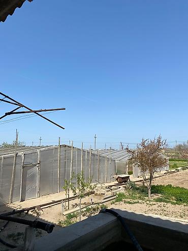 turkanda torpaq satılır: 20 sot, Kupça (Çıxarış) — 2