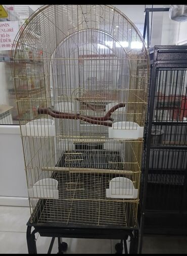 Qəfəslər: Her qiymete her olcude yeni qefeslermiz var satisda bayram edirimleri -da lalafo.az — 13 Qəfəslər: Her qiymete her olcude yeni qefeslermiz var satisda bayram edirimleri — 13