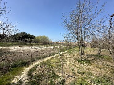 Bağ evlərinin satışı: Mehdiabad, 110 kv. m, 4 otaqlı, Hovuzsuz, Artezian quyusu, Qaz, Telefon -da lalafo.az — 9 Bağ evlərinin satışı: Mehdiabad, 110 kv. m, 4 otaqlı, Hovuzsuz, Artezian quyusu, Qaz, Telefon — 9