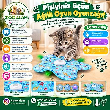 🐱 Pişiklər üçün Ağıllı, Avtomatik Oyun Oyuncağı 🐾 Pişiyinizin