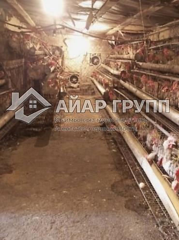 Продажа коттеджей и домов: 🔥 СРОЧНО ПРОДАЮ 🔷 Дом 🔷 Иссык-Куль, г. Балыкчы 🔷 Участок: 7,5 соток — 15