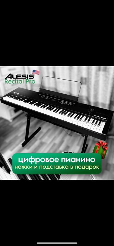 цифровой пианино: Цифровое фортепиано Alesis Recital Pro 🎹 Идеальный выбор для