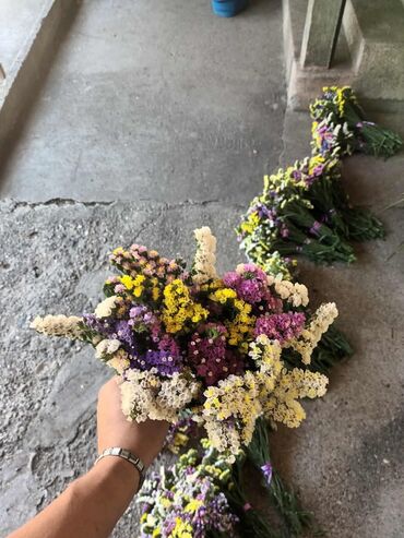 Figure: 🌸 Statica suvo cvece 
Buket za samo 🌸❌ — 8