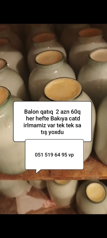 купить угли для мангала: Məhsul: Balon qatıq - Qablaşdırma: Şüşə balonlarda - Çəki: 600 qram -