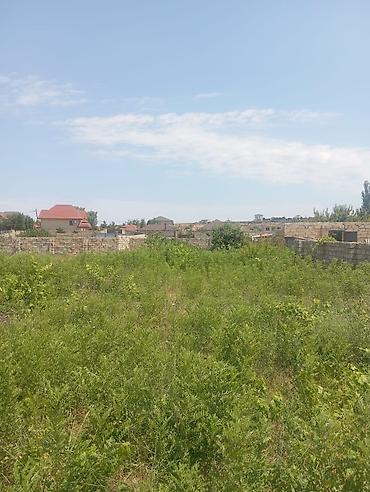 nardaranda torpaq: 13 sot, Tikinti, Mülkiyyətçi, Kupça (Çıxarış) — 6