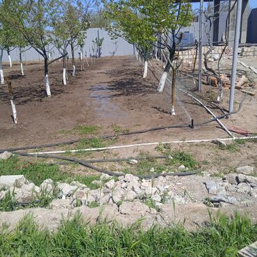 Suvarma sistemləri: Suvarma sistemləri üçün taymer və sprinkerlər — 11