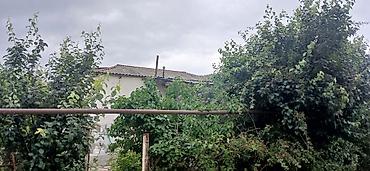 xizi: 20 sot, Mülkiyyətçi — 6