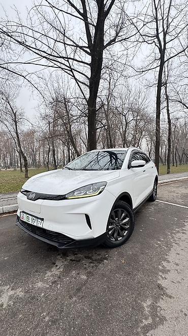 byd e1: Weltmeister EX5, 2020 г., Передний, В наличии — 2