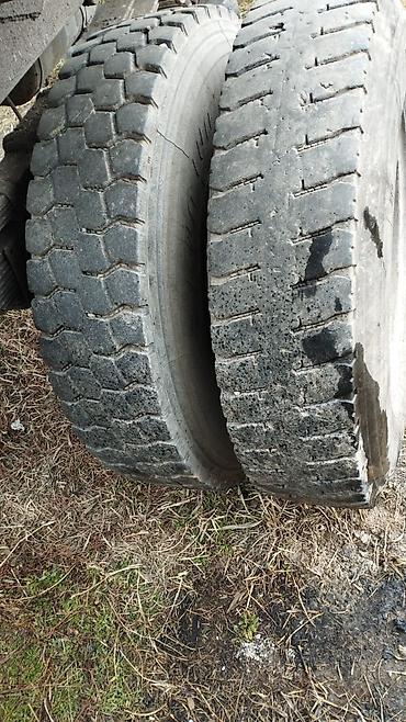 Прицепы и полуприцепы: Прицеп, Самосвал, Б/у — 9