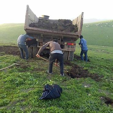 qara torpaq ve peyin: Qara torpaq ve Peyin. Artıq Payız gəlişi ilə əlaqədar bağlara — 8