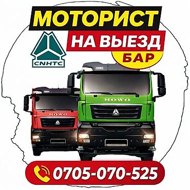 водитель howo: Выездной моторист для грузовиков HOWO (SinoTruck/CNHTC) - Профиль — 2