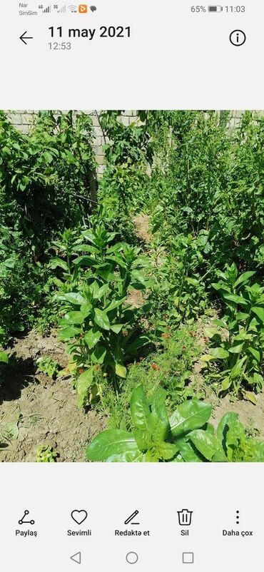 Həyət evləri və villaların satışı: Geniş iki mərtəbəli fərdi yaşayış evi - Ümumi layihə: böyük həyətyanı — 8