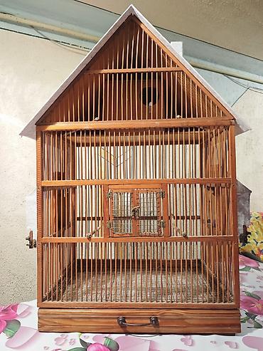 hind quşu: Taxta quş qəfəsi – ev formasında dizayn - Material: təbii ağac və — 4