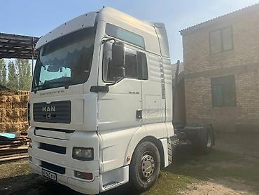 Тягачи: Тягач, MAN, 2004 г., Холодильник, рефрижератор — 2
