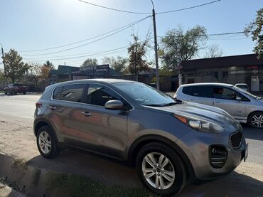 авто гаражное хранение: Kia Sportage: 2017 г., 2.4 л, Автомат, Бензин, Кроссовер