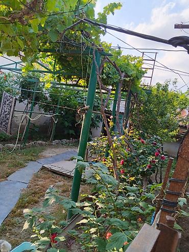 Həyət evləri və villalar: Sabunçu qəs. 3 otaqlı, 63 kv. m, Orta təmir — 4