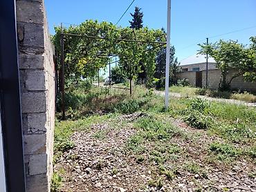 qubada torpaq satışı: 63 sot, Tikinti, Mülkiyyətçi, Kupça (Çıxarış) — 7
