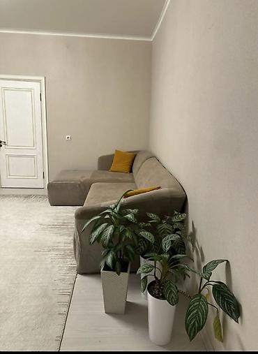 сталинки: 2 комнаты, 54 м², Моссовет Сталинка, 2 этаж — 3