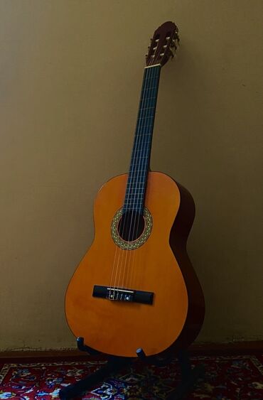 Səs avadanlığı: Klassik gitara, Ibanez