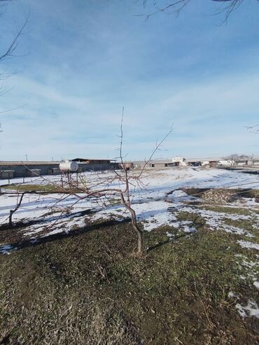 дома байтик: Продаю Кошара, 190 соток, Действующий, Холодная вода, Электричество, Скважина
