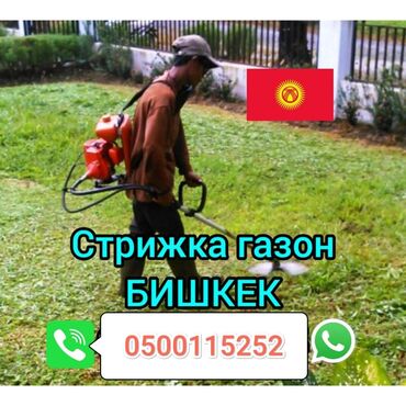 аммиак водный 25 аммиачная вода: Газонокосилка Бензиновая, Бесплатная доставка