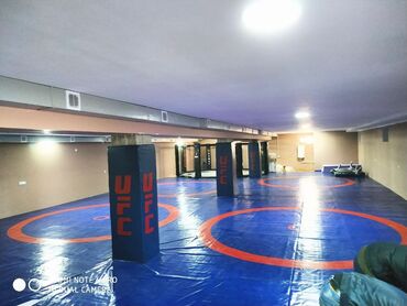 Другие тренажеры: Профессиональные спортивные маты для единоборств Назначение: - борьба — 37