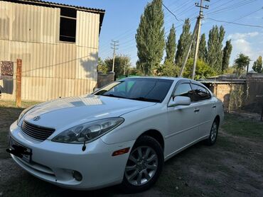 раф 4 2005: Toyota Windom: 2005 г., 3 л, Автомат, Бензин, Седан