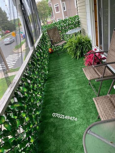 Tavan: 🌿 Balkonunuzu Təbii Gözəlliklə Bəzəyin! 🏡 Kiçik toxunuşlarla böyük