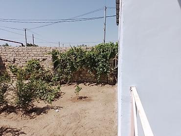 mingecevirde ev: Maştağada Albalı bağlarında 5 sotun içində 4 otaqlı kupçalı bağ evi — 10