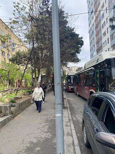 plastik ayna qapi: Salam Badamdarda Təcili hazır Ətir biznesi satılır Mağaza. 3 ün — 1