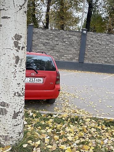 Toyota: Toyota Corolla: 2003 г., 2 л, Механика, Бензин, Универсал — 25