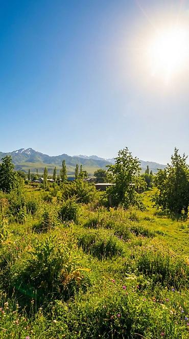 Продажа коттеджей и домов: 🏔 ПРОДАЁТСЯ УЧАСТОК В С. ГОРНАЯ МАЕВКА 📐 Площадь по документам — 13,5 — 5