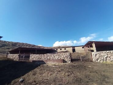 Продажа участков: 1800 соток, Для бизнеса, Красная книга at lalafo.kg — 6 Продажа участков: 1800 соток, Для бизнеса, Красная книга — 6