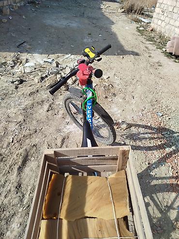 Velosipedlər: VEGAS dağ velosipedi - Çərçivə: polad, mavi rəngdə, düz üst borulu — 4