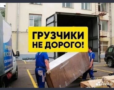 додо пицца работа: Грузчик. Больше 6 лет опыта