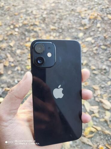 Apple iPhone: IPhone 12, 128 ГБ, Черный