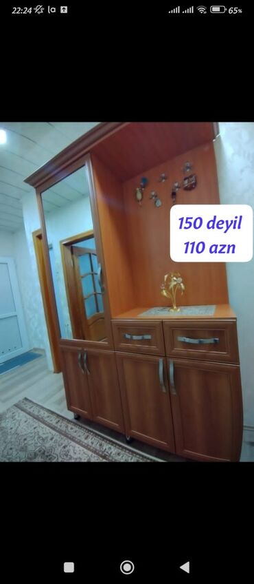 plastik ayna qapi: Açılan, 4 qapılı Düz dolab, Dəhliz dolabı
