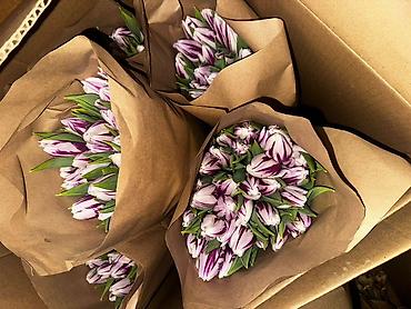 Букеты из живых цветов: В наличии Тюльпаны🌷💐 имеются в ярких и разных цветах . также есть — 11