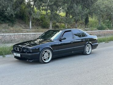 195 я 14 с: BMW 5 series: 1996 г., 4.4 л, Механика, Бензин, Седан