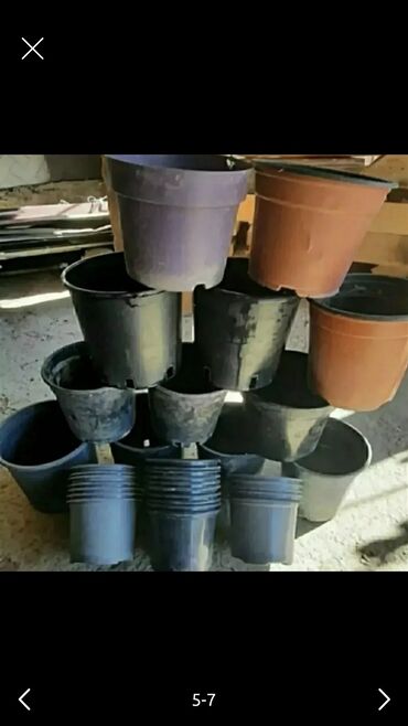Уличные растения: Gül və dibçək qabları satılır.Plastik,kauçuk materyaldır.Sayı 50