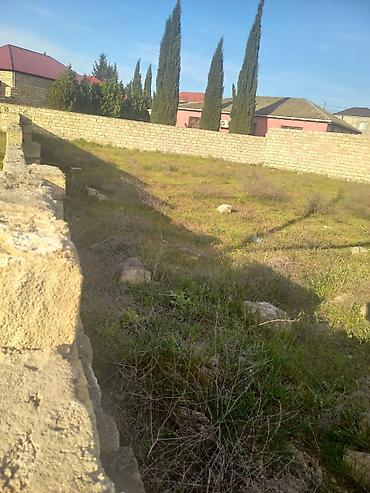 Torpaq sahələrinin satışı: Tikinti, Maklerlər narahat etməsin, Bələdiyyə — 10